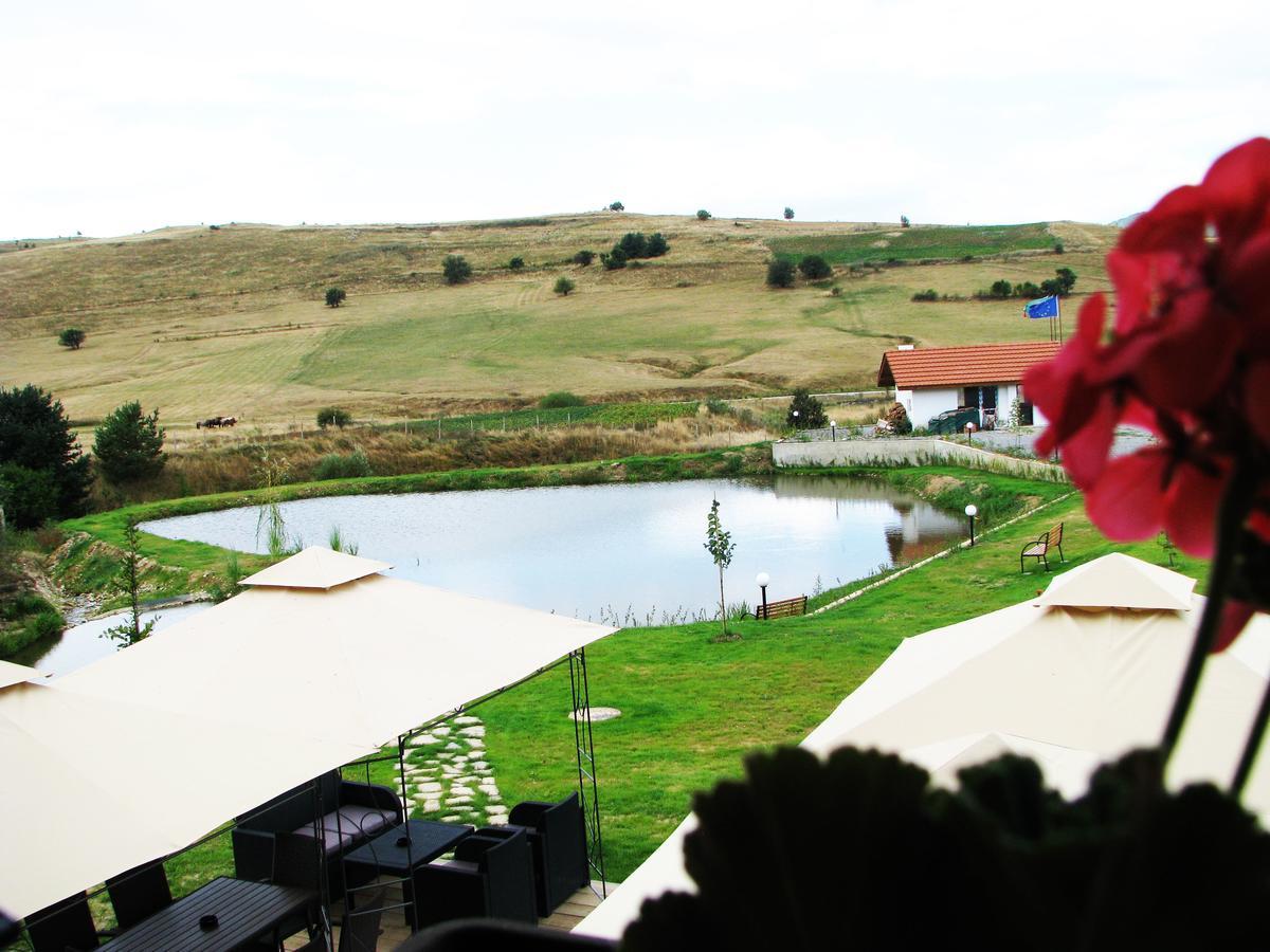 Park Hotel Eagle Stone Копривштица Экстерьер фото